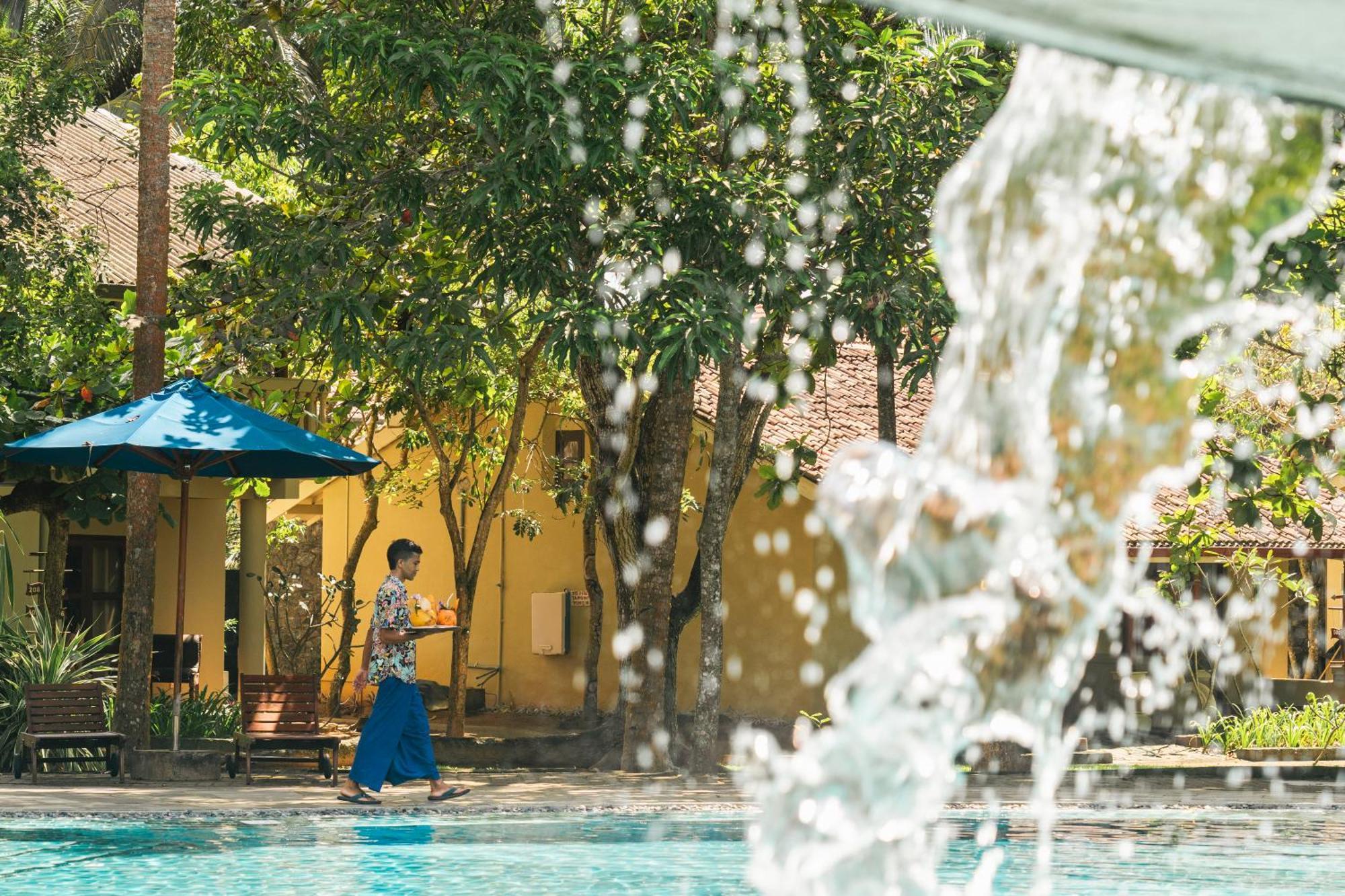 Siddhalepa Ayurveda Resort - All Meals, Ayurveda Treatment And Yoga Wadduwa Kültér fotó