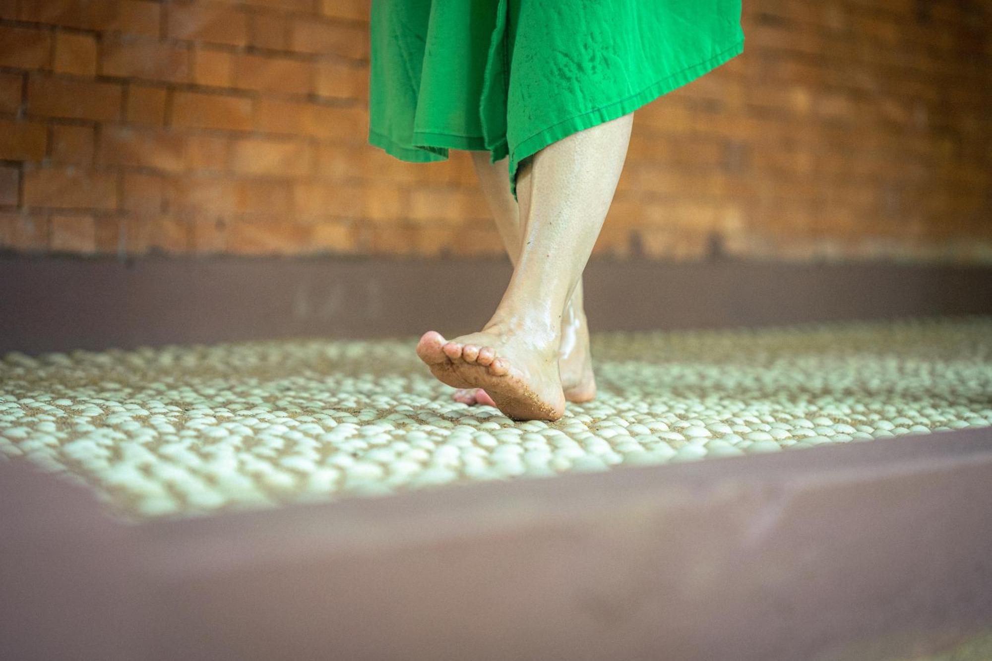 Siddhalepa Ayurveda Resort - All Meals, Ayurveda Treatment And Yoga Wadduwa Kültér fotó