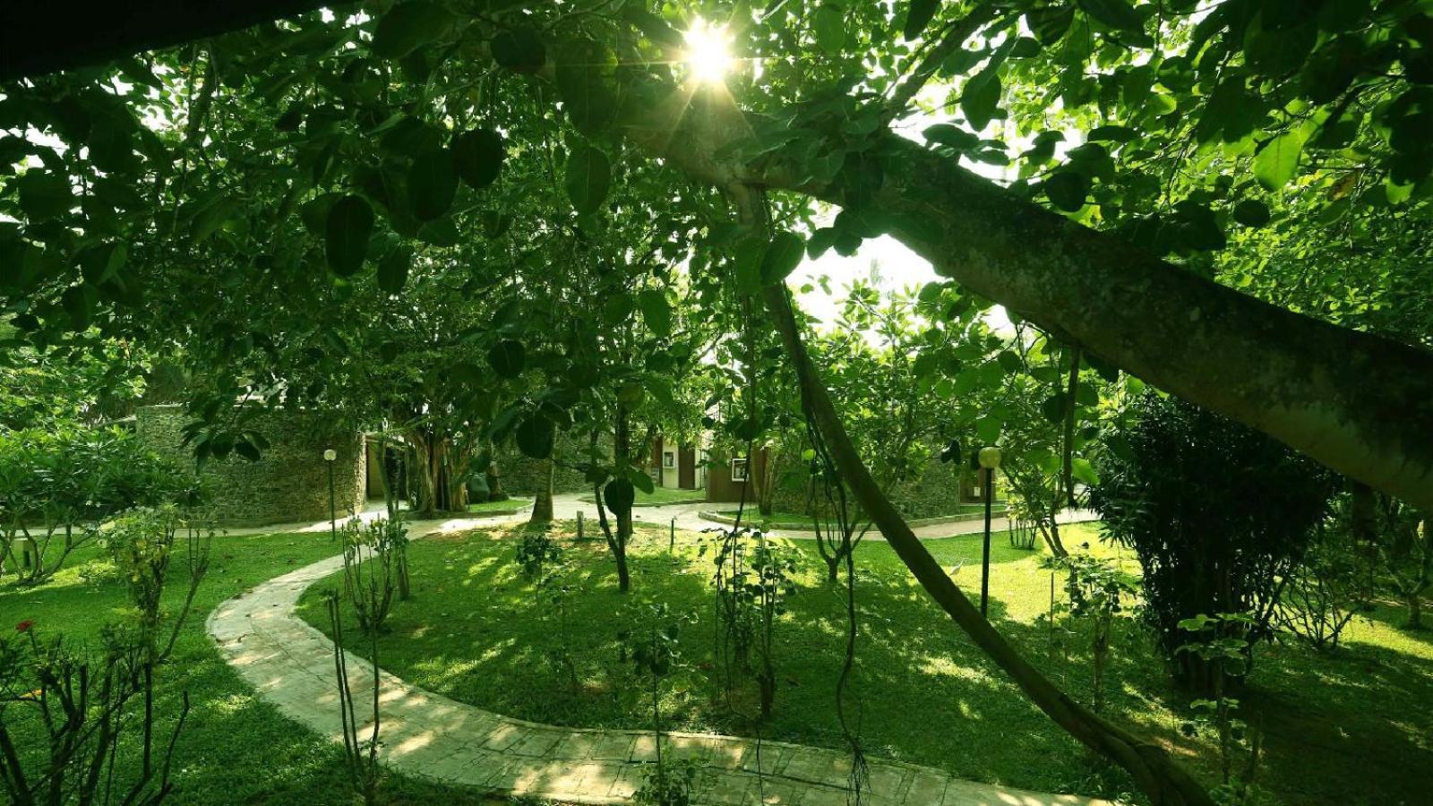 Siddhalepa Ayurveda Resort - All Meals, Ayurveda Treatment And Yoga Wadduwa Kültér fotó