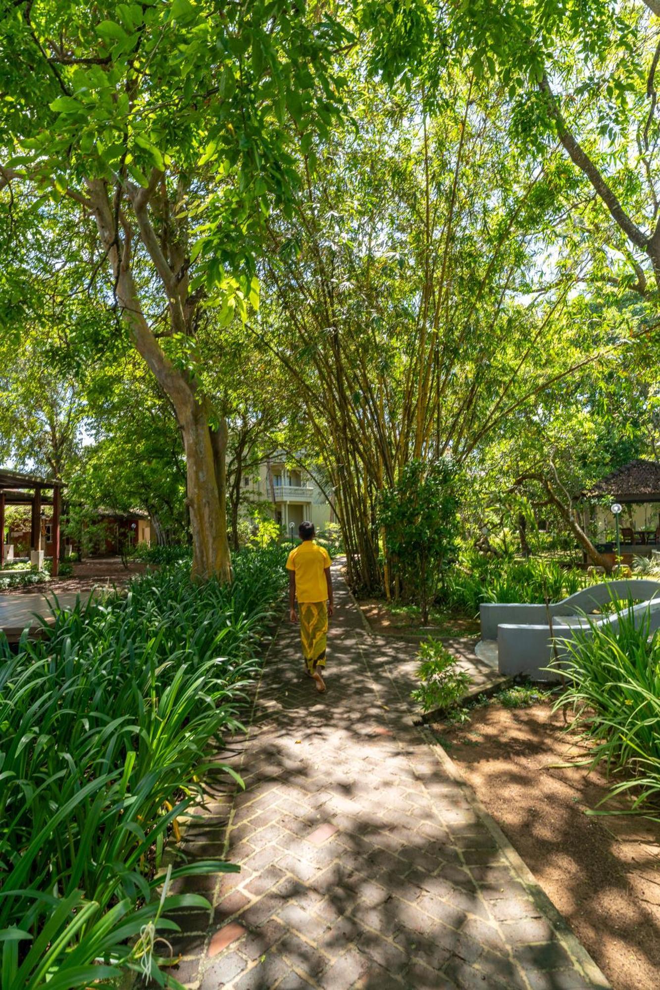 Siddhalepa Ayurveda Resort - All Meals, Ayurveda Treatment And Yoga Wadduwa Kültér fotó