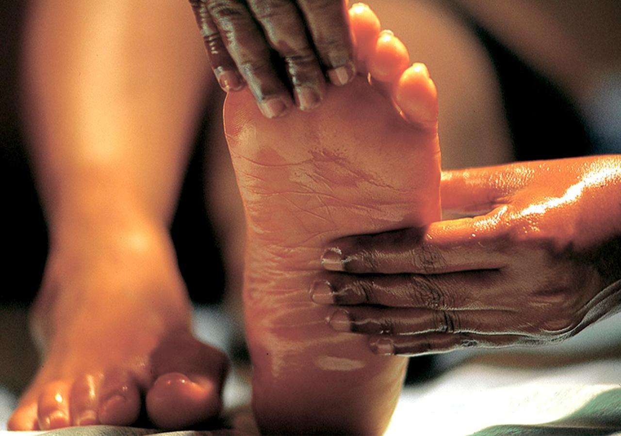 Siddhalepa Ayurveda Resort - All Meals, Ayurveda Treatment And Yoga Wadduwa Kültér fotó